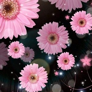 Meet your Posher, Shelia